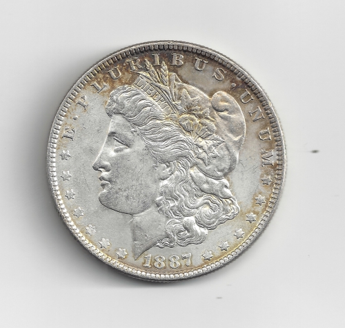 Silver Morgan Dollar